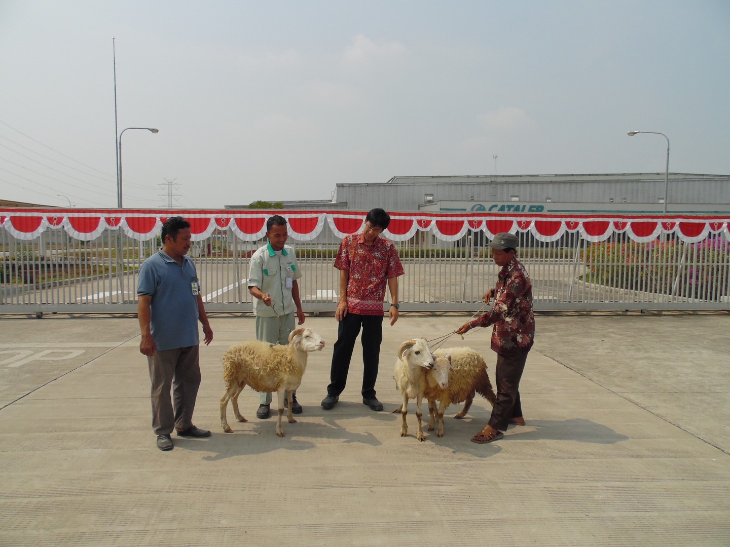 Bantuan Hewan Qurban